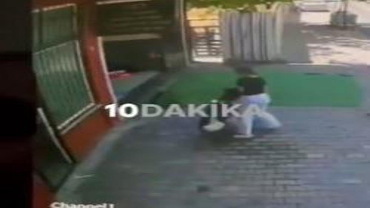 Masum yavrularımız köpeklere yem oluyor! İstanbul'da dehşete düşüren anlar
