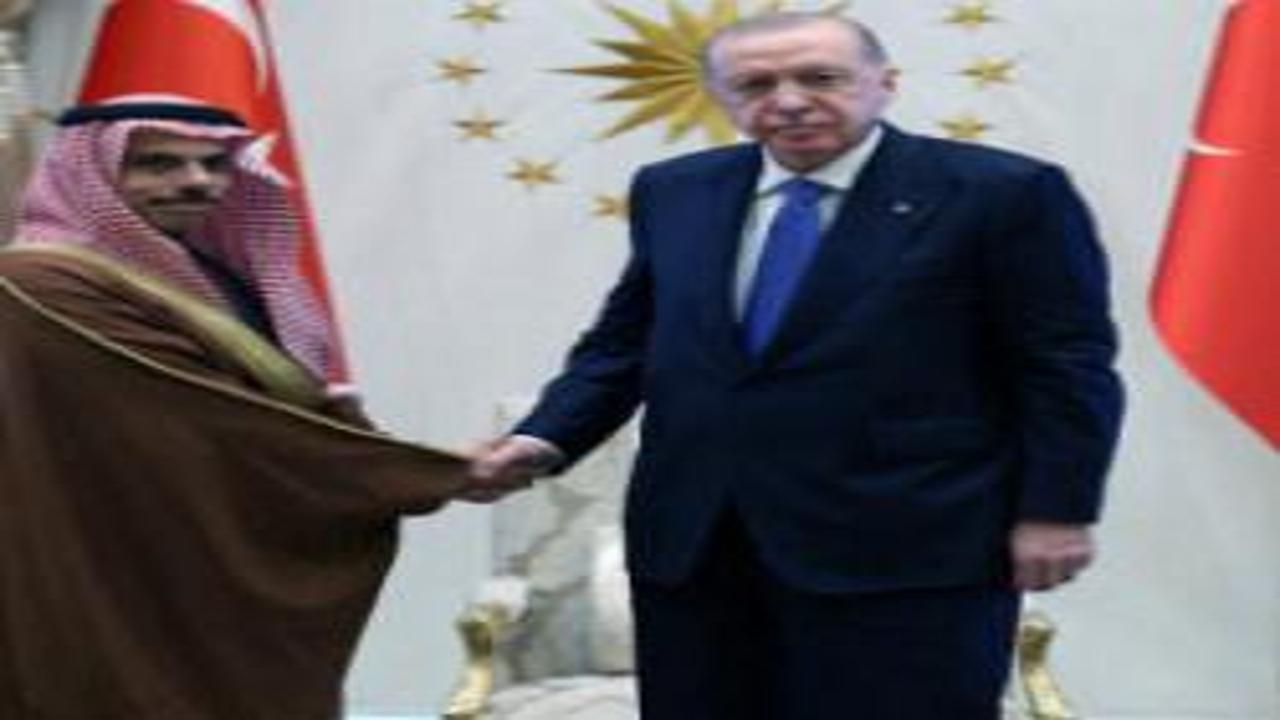 Cumhurbaşkanı Erdoğan, Suudi Arabistan Dışişleri Bakanı bin Ferhan'ı kabul etti