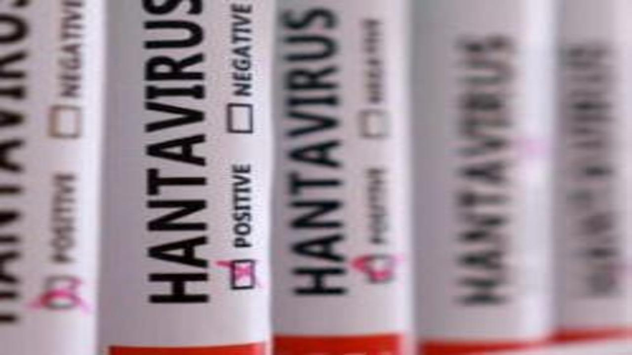 Herkesin aklında tek soru! Hantavirüs insandan insana bulaşır mı?