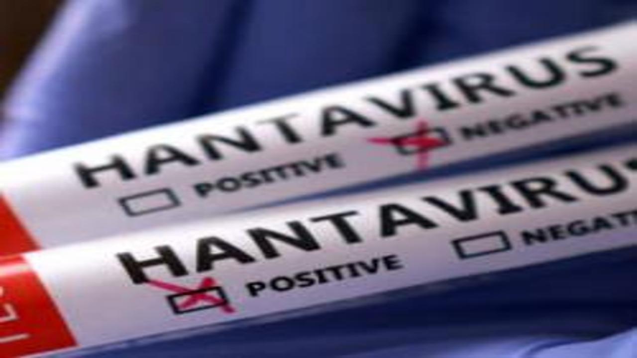 İsrail'de hantavirüs alarmı! İlk vaka kaydedildi