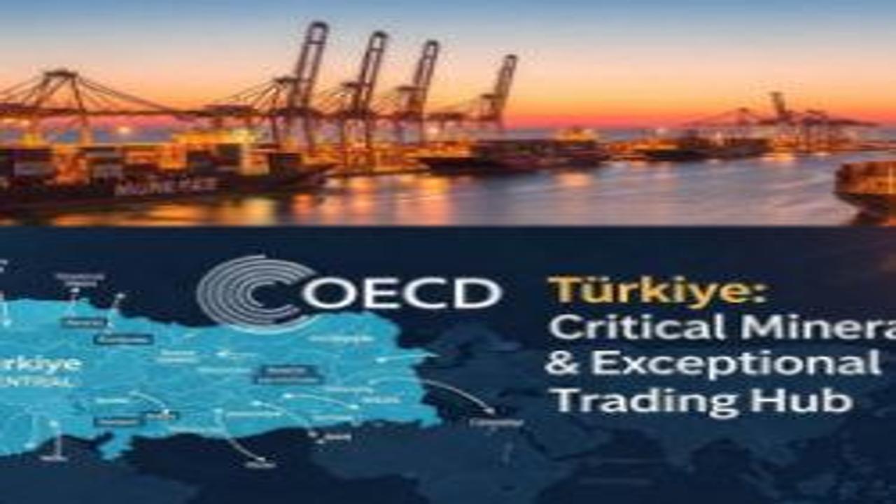 OECD'den Türkiye'ye kritik mineral övgüsü: Olağanüstü bir ticaret merkezi