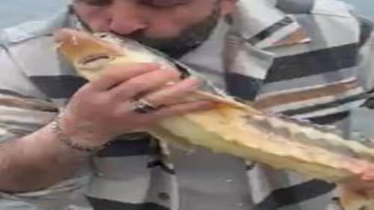 Satın aldığı balığı, canlı ve nesli tehlikedeki tür olduğunu görünce denize ulaştırdı