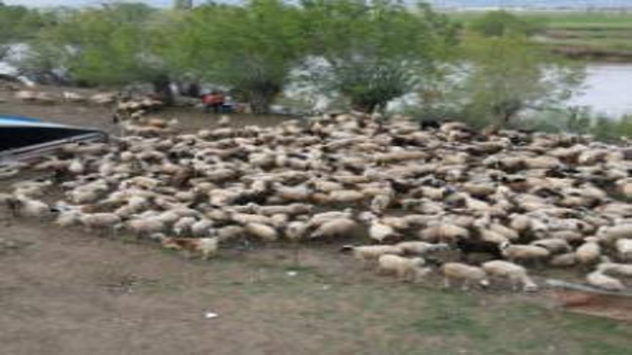 150 bin lira veren bulamamıştı: 