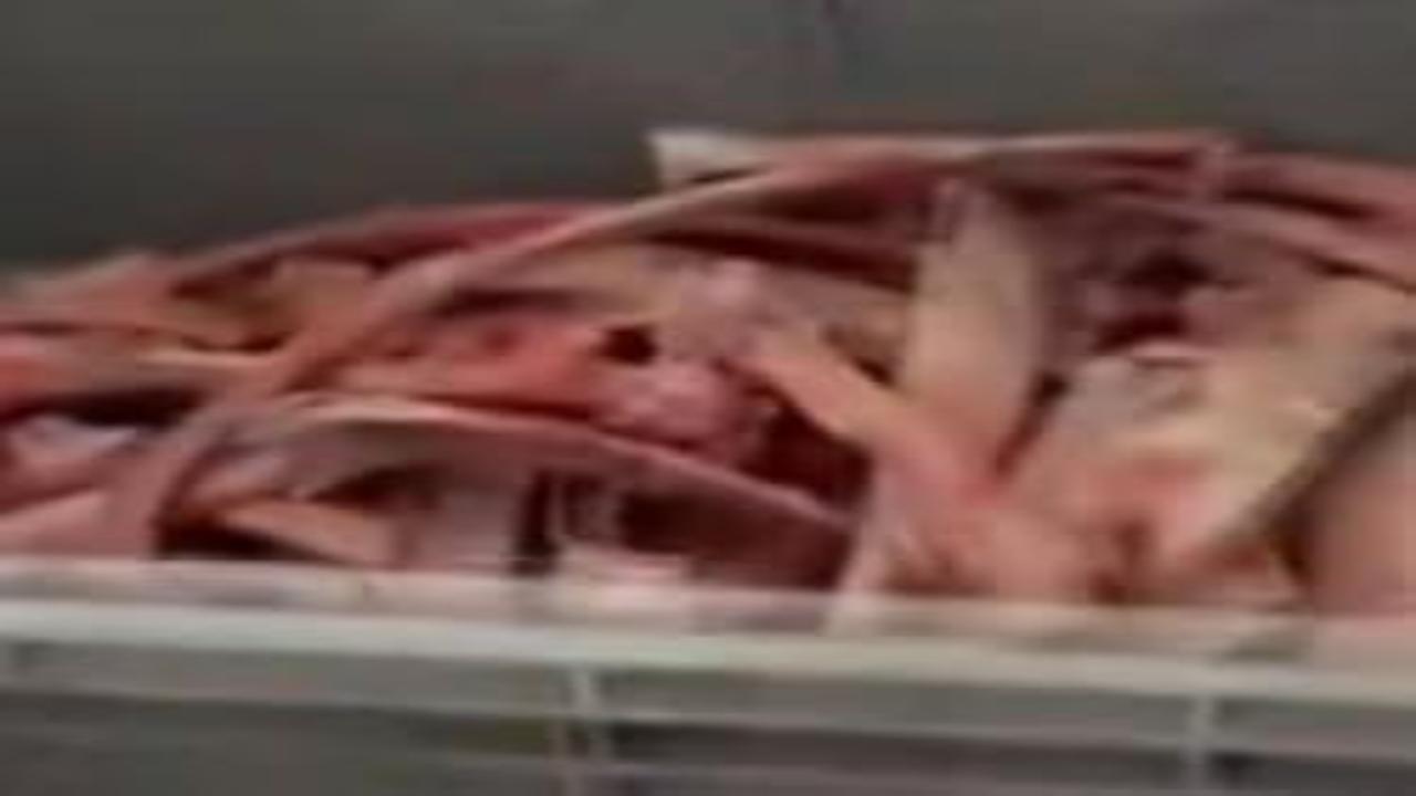 Ankara'da sağlığı tehdit eden 40 ton et ele geçirildi