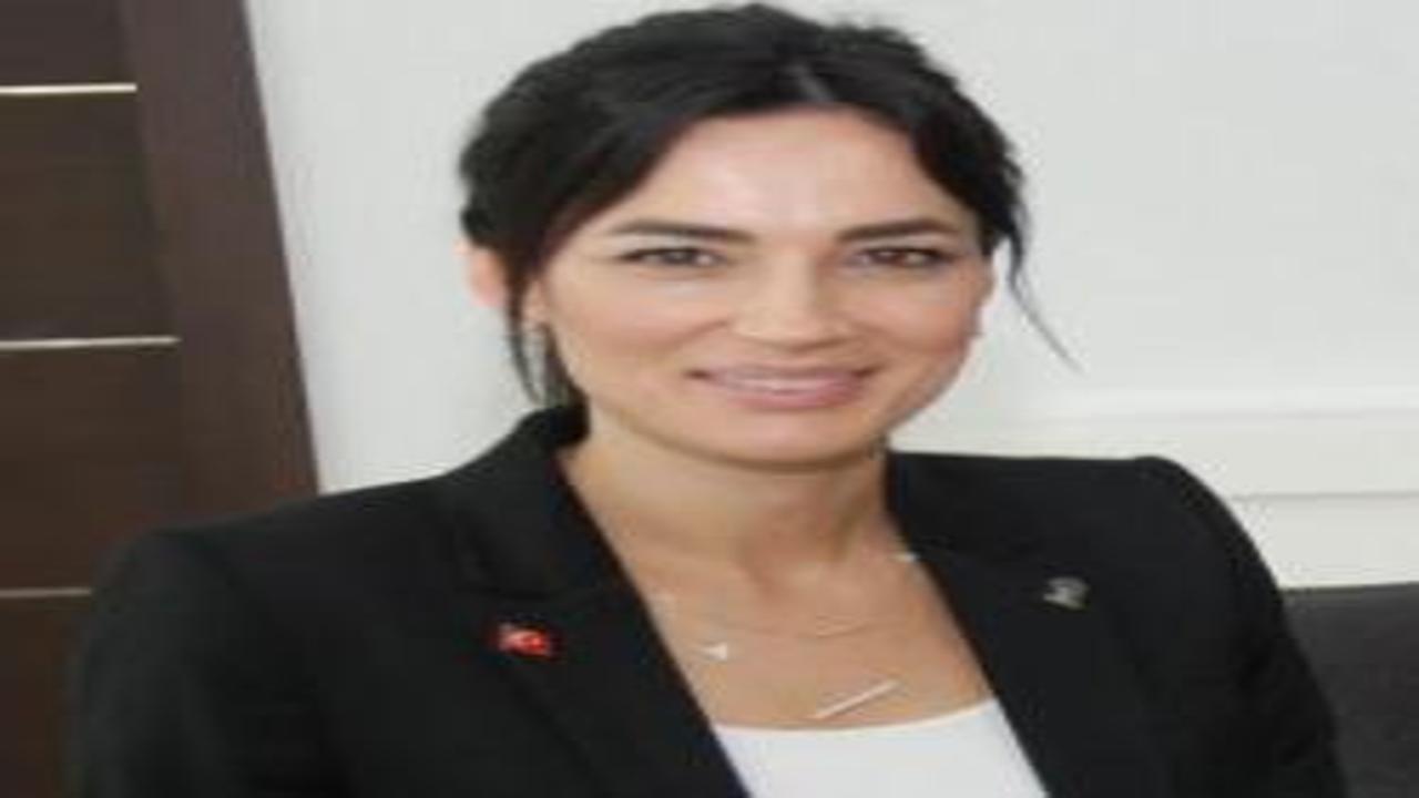 'Milletvekilinin oğlu okulu silahla bastı' yalanı: AK Partili Sarıbaş'tan tepki