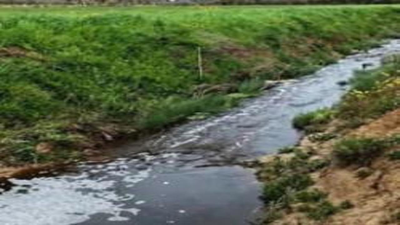 Sinop’ta çevreyi kirleten tesise 1.6 milyon TL ceza