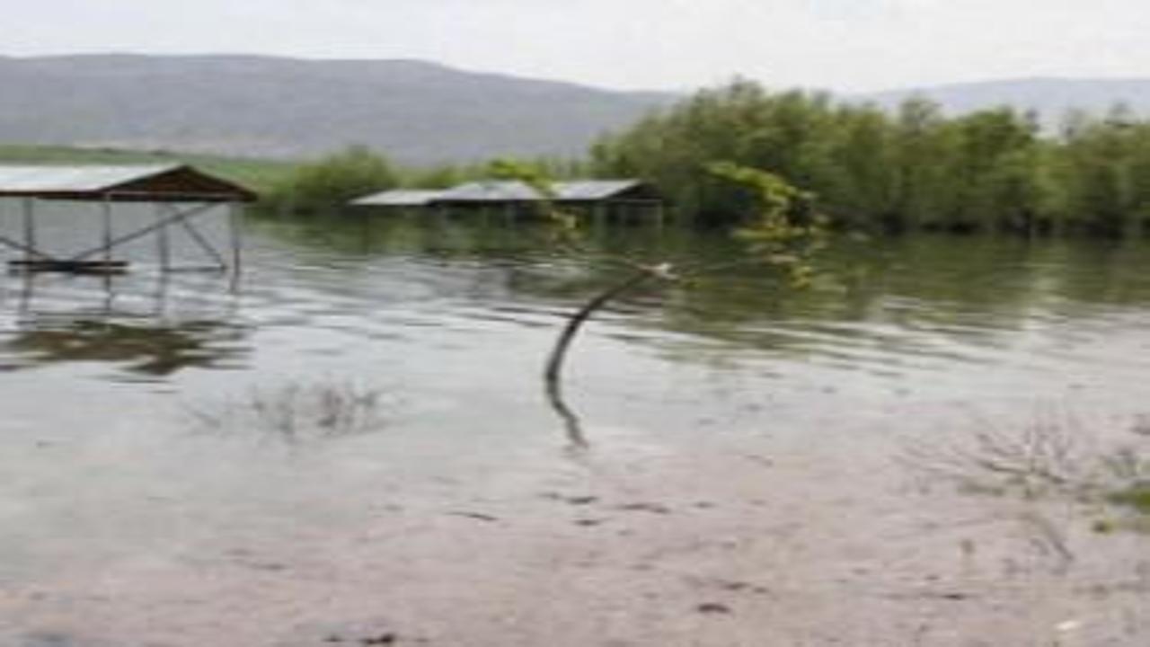 Sivas’ta baraj taştı! Tesisler sular altında