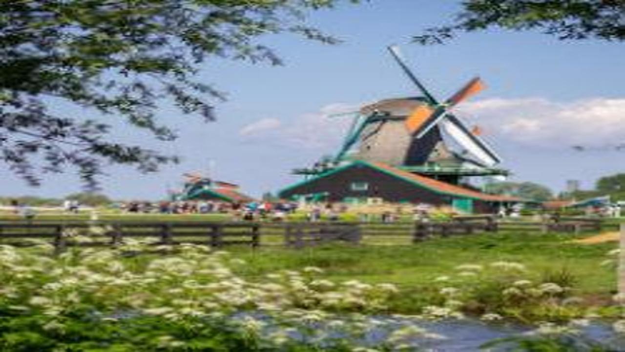 Yüzlerce yel değirmeni kapılarını açtı: Hollanda’da Ulusal Değirmen Günü kutlandı