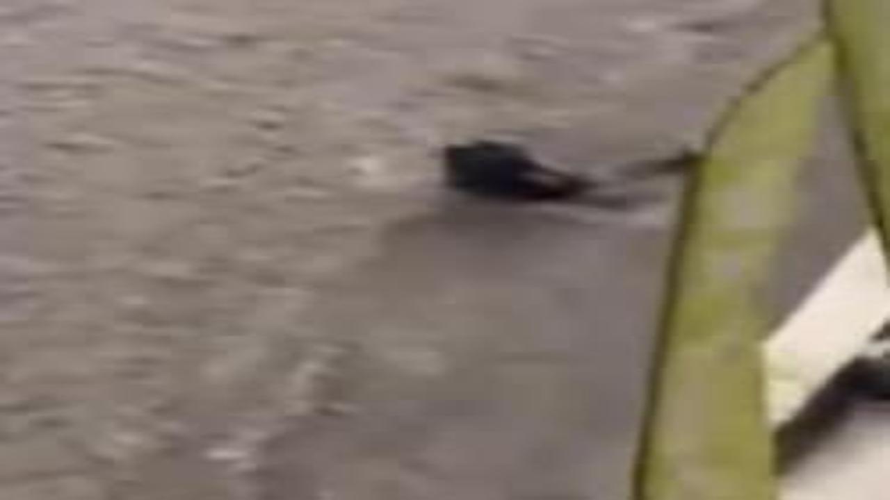 Ankara'yı sel vurdu! Vatandaşlar suda sürüklendi