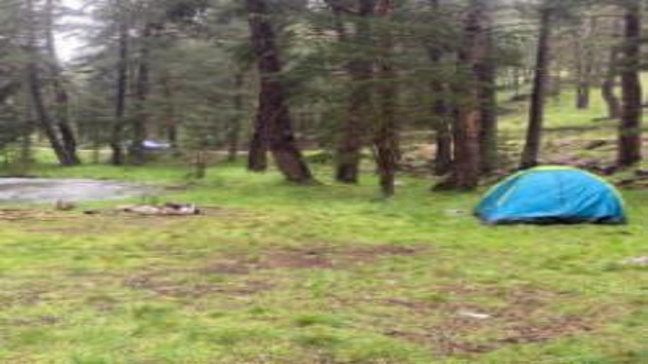 Piknik yaptıkları alana yıldırım düştü: 1'i ağır 3 yaralı