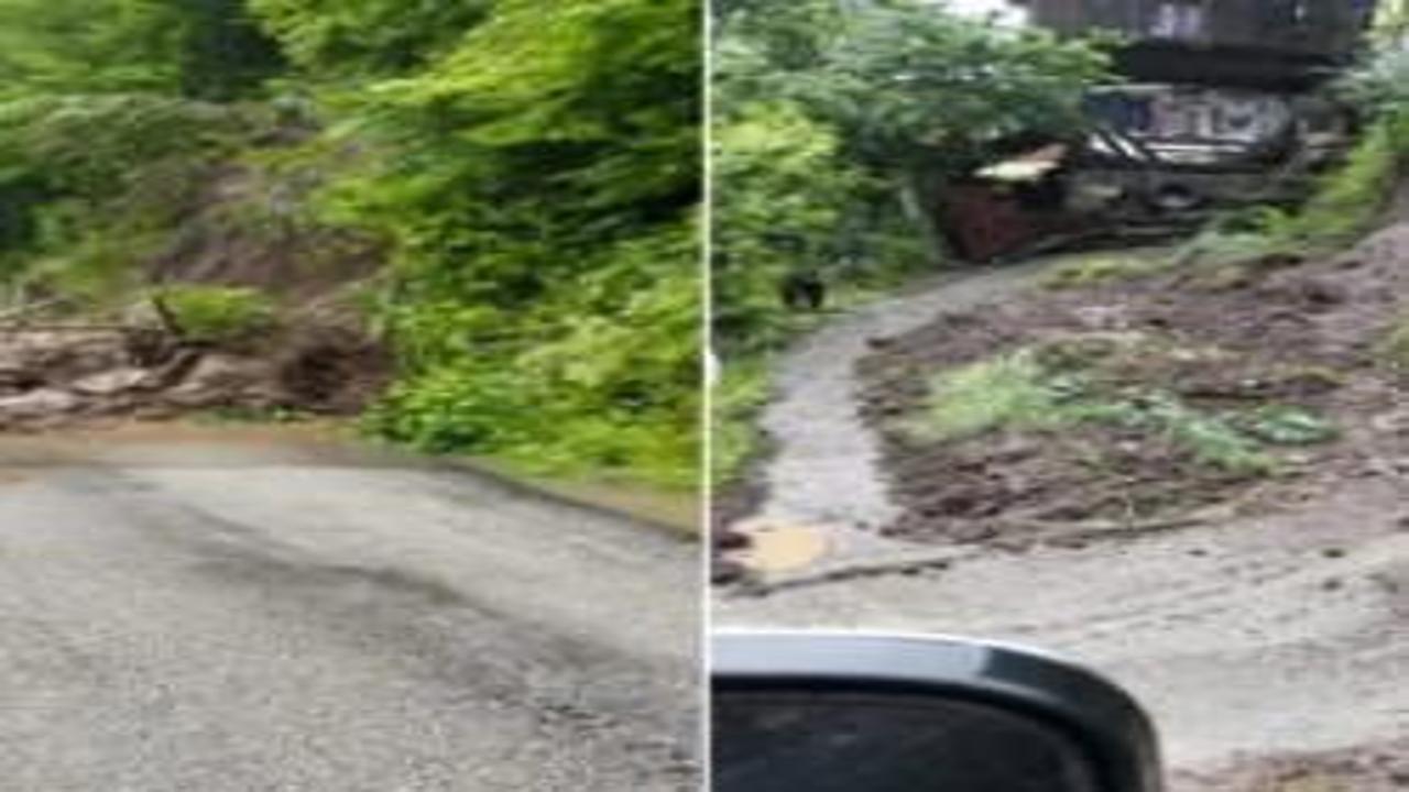 Artvin'i sağanak vurdu: Dereler taştı, köy yolları kapandı