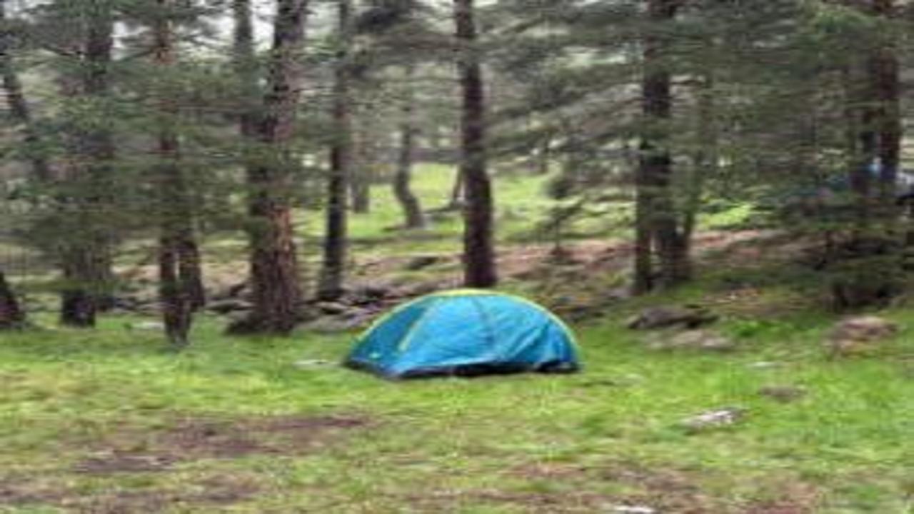 Bolu'da piknik faciası! Yıldırım düştü: 1 ağır, 3 yaralı