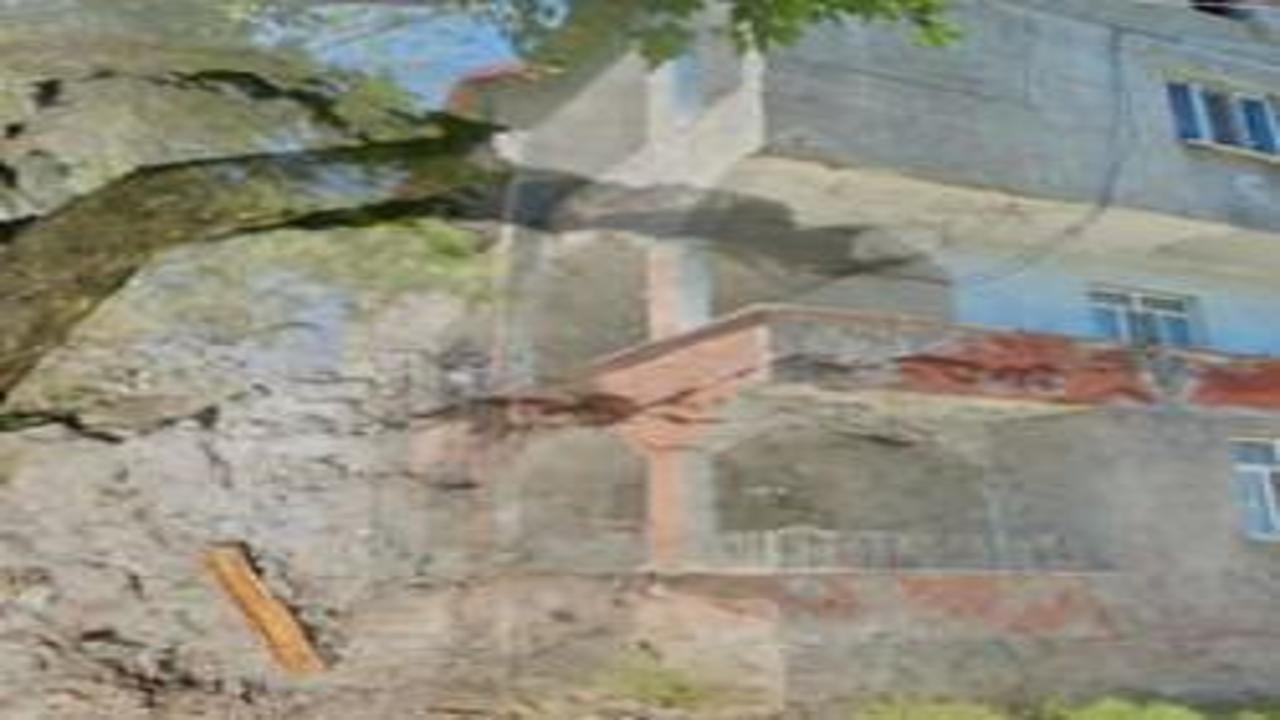 Boyları üç metre! Evlerini sardılar: Uyumak haram oldu