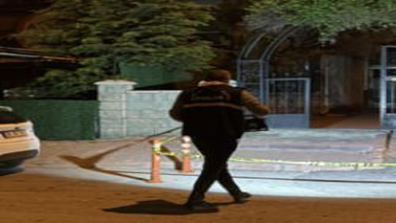 Darbedilen kadını kurtarmaya çalışan iki kardeş bıçaklandı