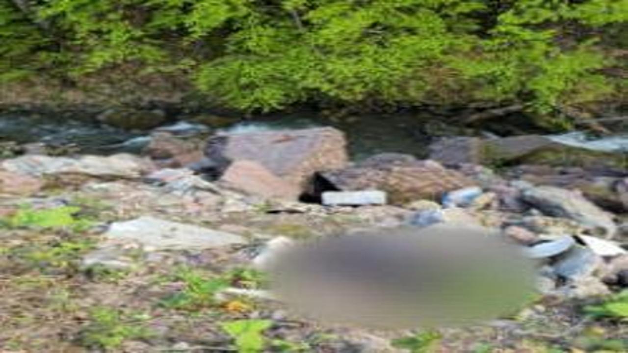 Düzce'de ölü olarak bulunan adamın cinayete kurban gittiği ortaya çıktı