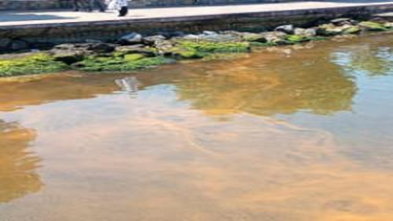 Görenler şoke oldu: Denizin rengi bir anda turuncuya döndü!