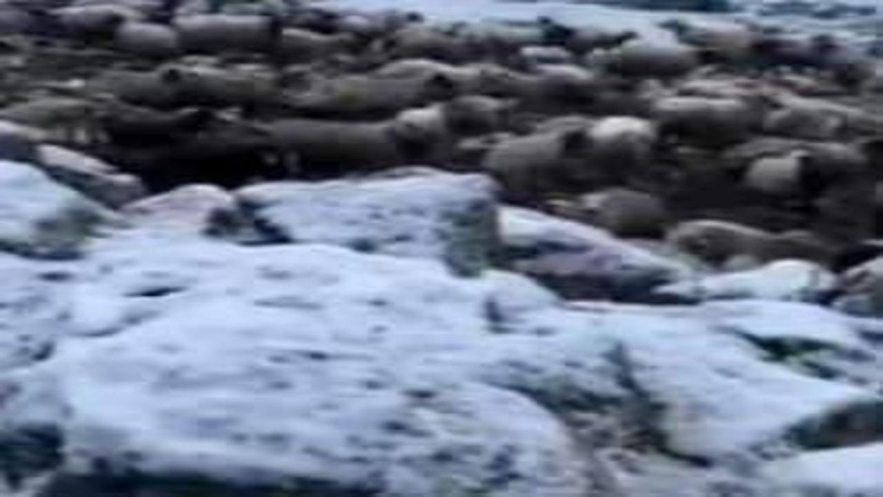 Kentte kış geri döndü! Termometreler eksi 5'i gösterdi: Lapa lapa kar yağdı