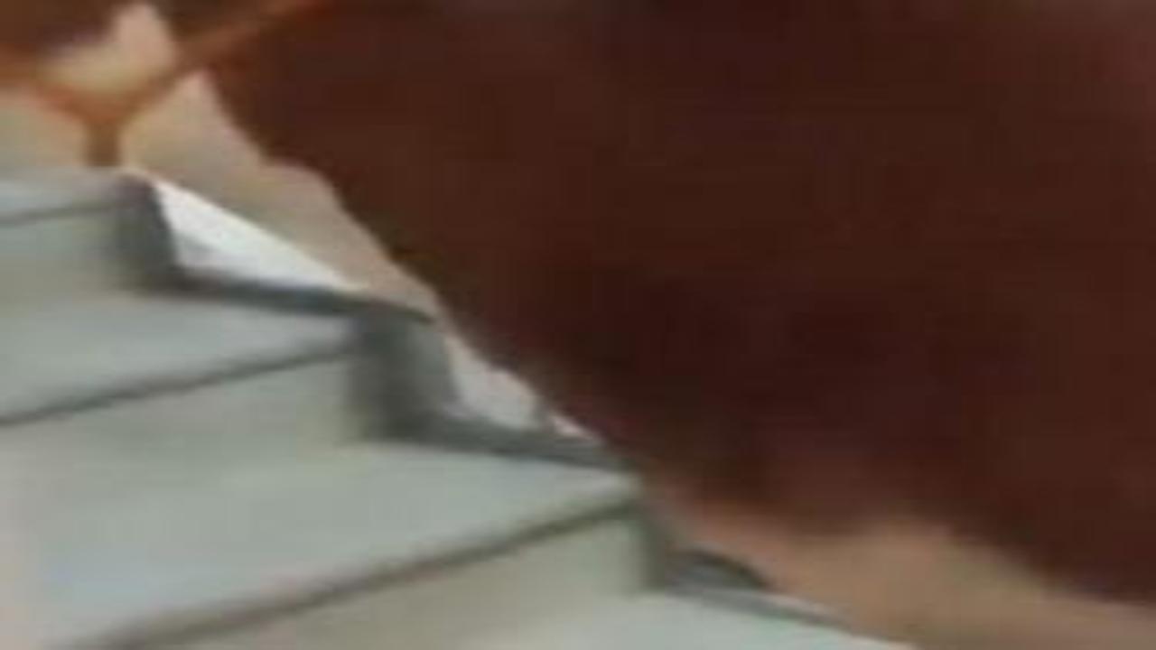 Kurbanlık boğa merdivenlerden çıkarıldı, terasta kesildi
