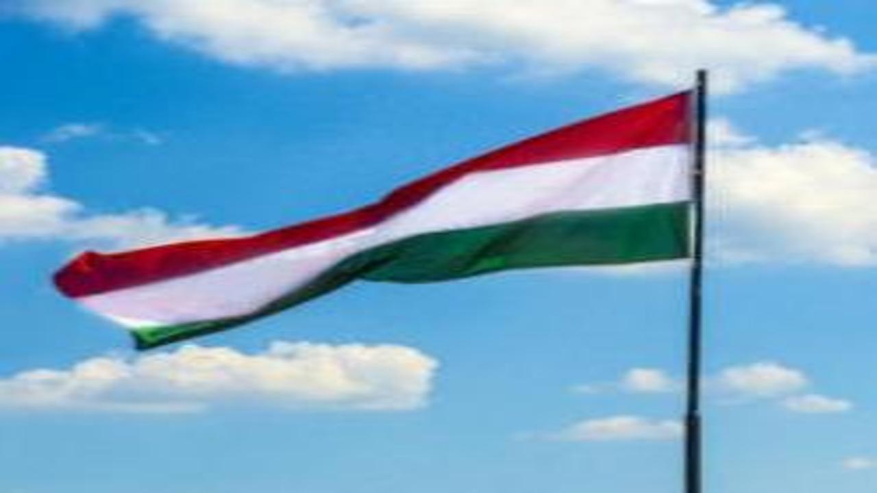Macaristan'dan Ukrayna kararı! 'Göndermeyeceğiz'