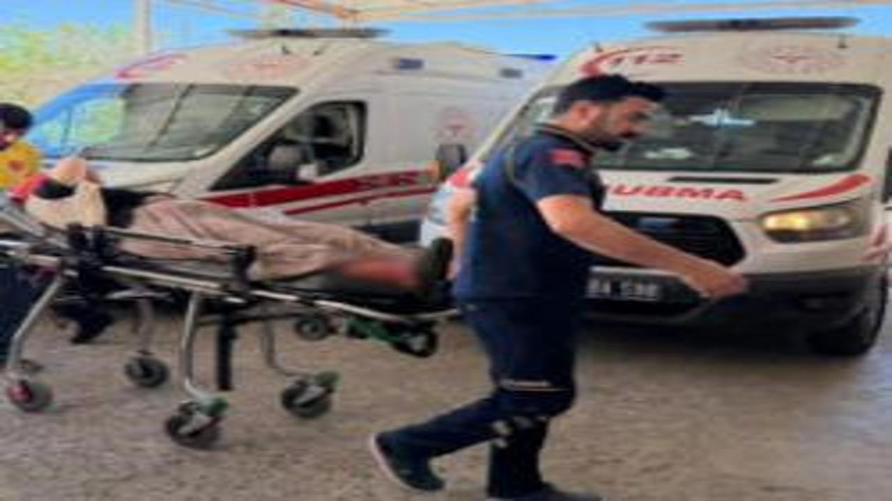 Şanlıurfa'da yılan avı: 3'ü çocuk 5 yaralı!