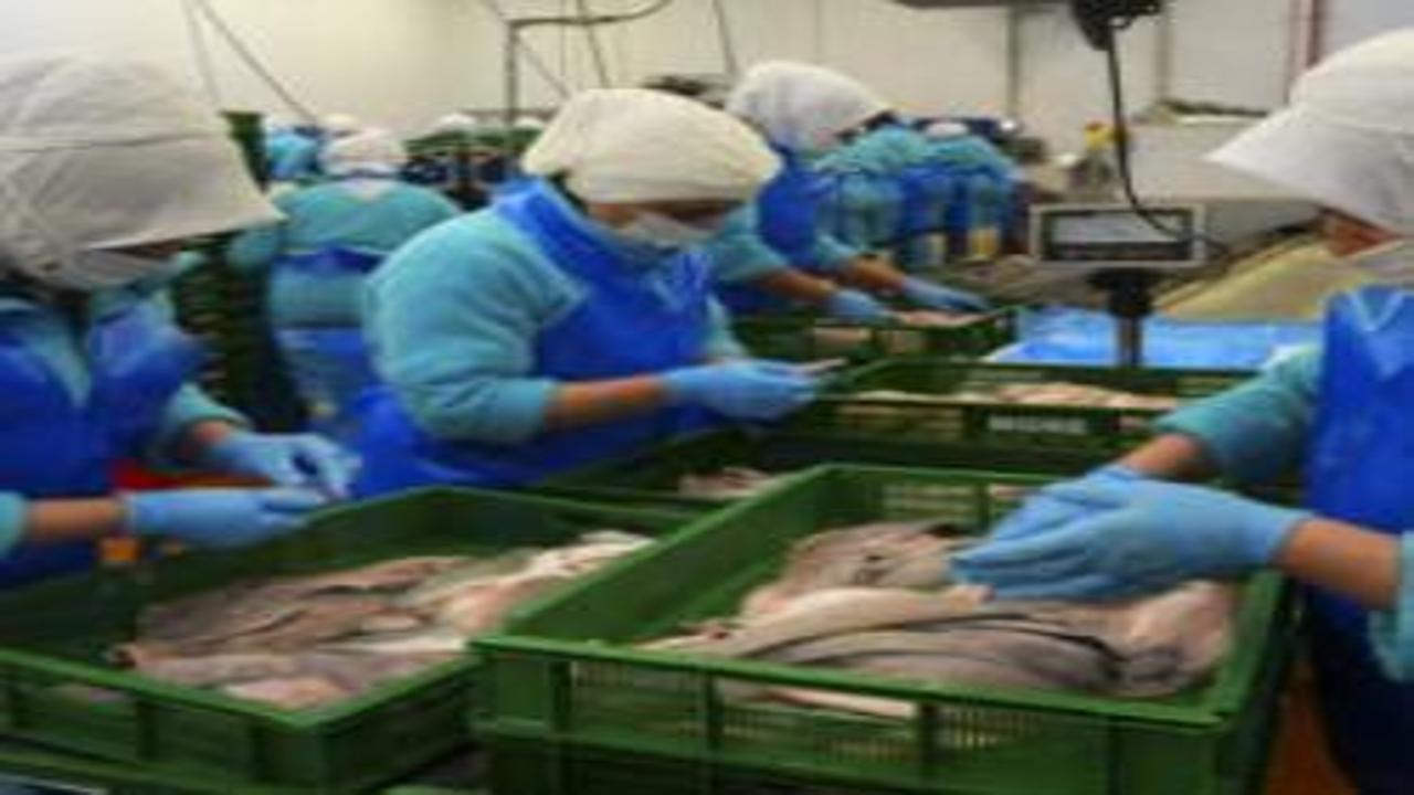 Türkiye geçen yıl 133 ülkeye 2,2 milyar dolarlık su ürünleri ihraç etti