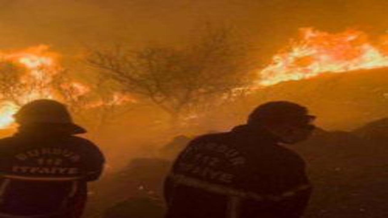 Türkiye'de orman yangını alarmı! Uzmanlar uyardı: Bu yaz çok