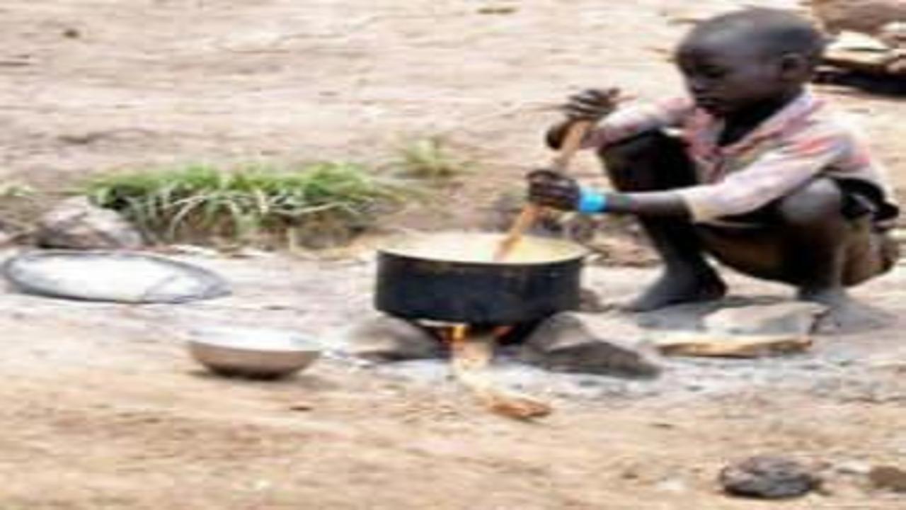 Afrika'nın gıda paradoksu: Verimli topraklar, açlıkla mücade