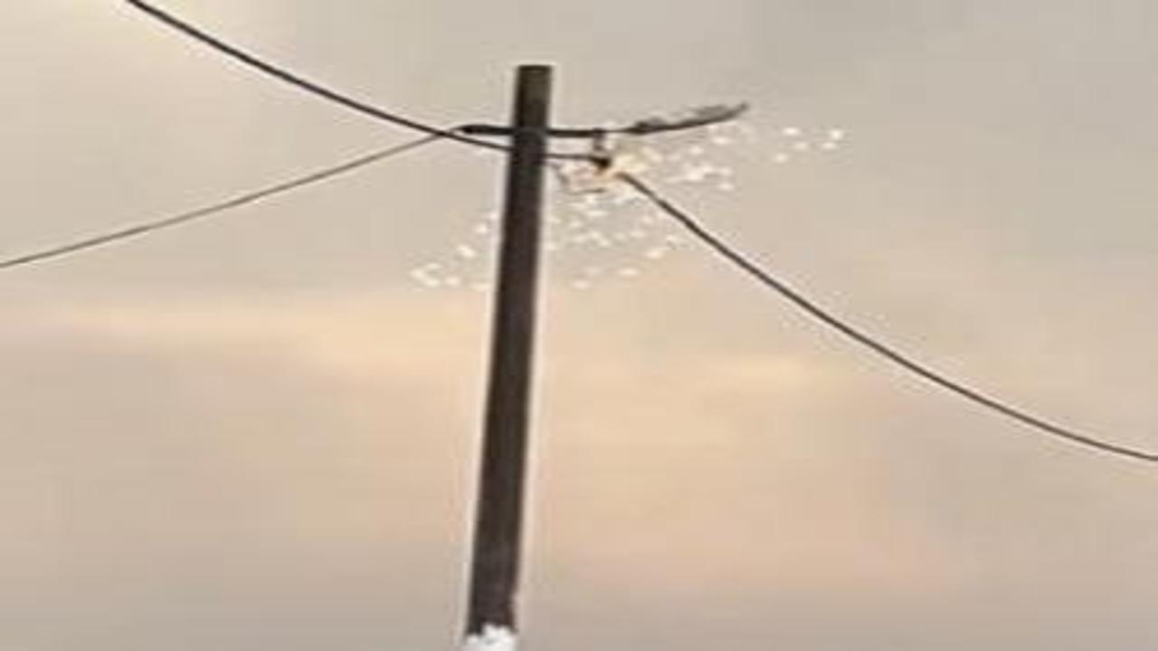 Bandırma'da elektrik hattında korku dolu anlar