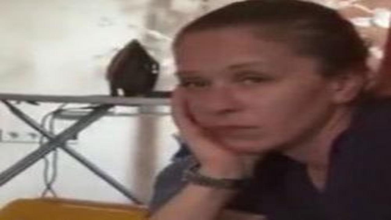 Boşanma aşamasındaki eşini ihbar etti: Çeşme Belediyesi'nde rüşvet çarkı