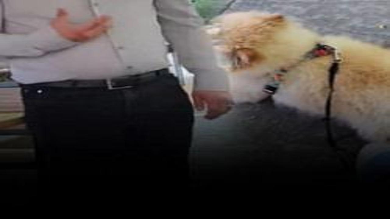 Köpek yasağını bahane edip hesabı ödemedi