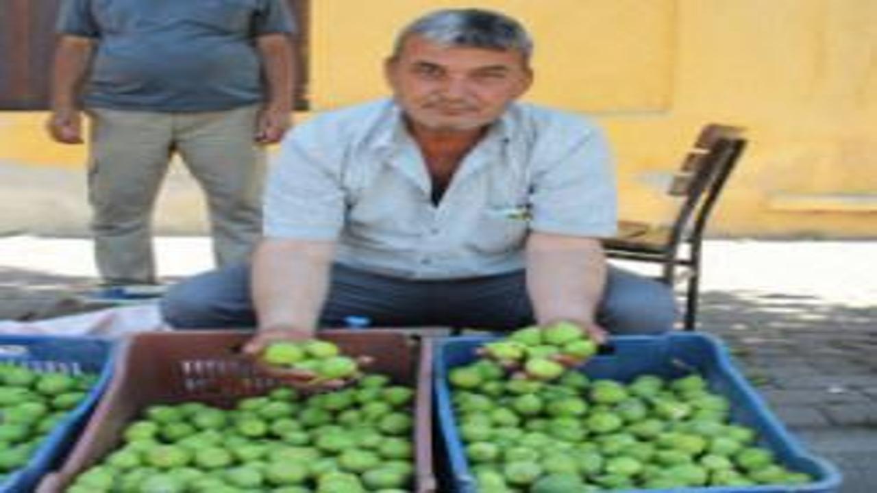 Gören gözlerine inanamadı! Pazarda meyve değil sinek satıyorlar! 500 liraya kapışılıyor