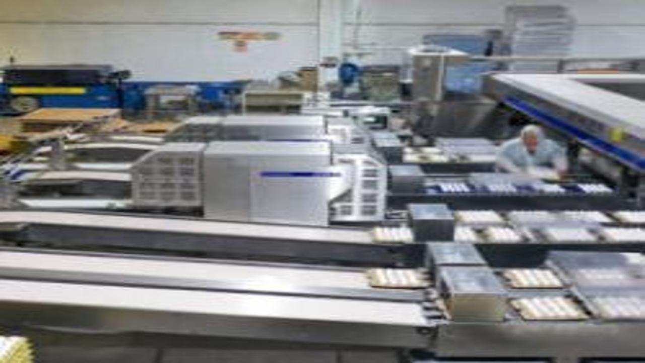 Ülkeyi kuş gribi vurdu! Avrupa'nın yeni yumurta üssü Türkiye oldu: İhracatta rekor geldi