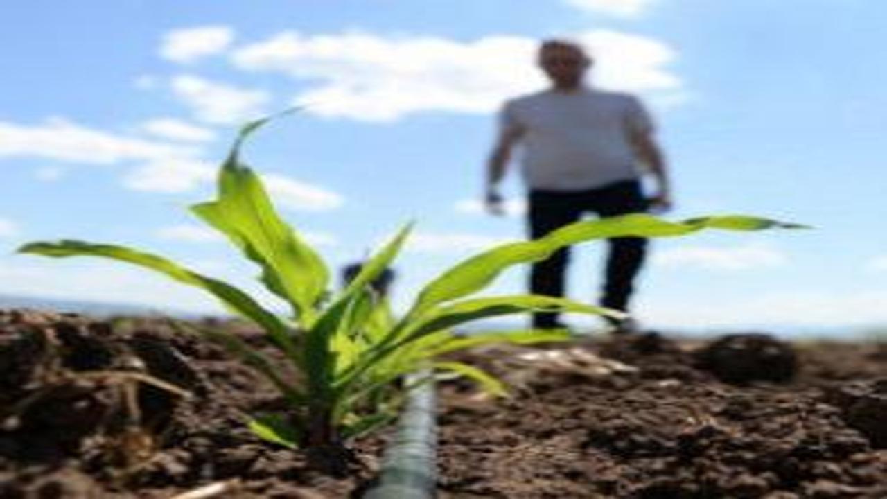 Avrupa Birliği'nden çiftçilere 540 milyon avroluk gübre desteği