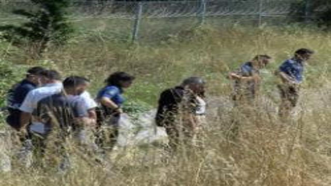 Pendik'te korkunç manzara! İhbar cesede götürdü