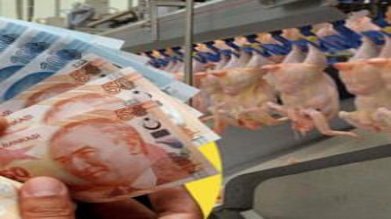 Beyaz et karteline operasyon: Kayyum atanan 13 şirketin gizli yazışmaları raporlarda!