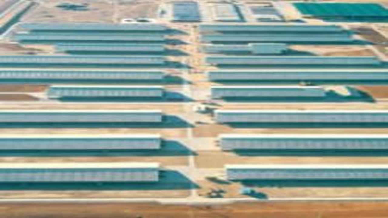 Bir fabrikanın ötesinde: Bingöl'de yeni bir ekonomik ekosist