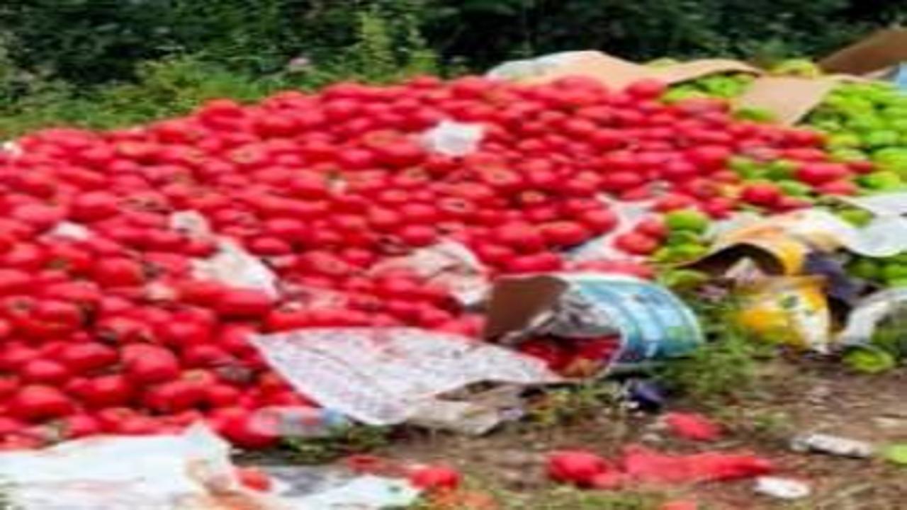 Çanakkale'de vicdan sızlatan görüntü: Kilolarca sağlam sebze ormana döküldü