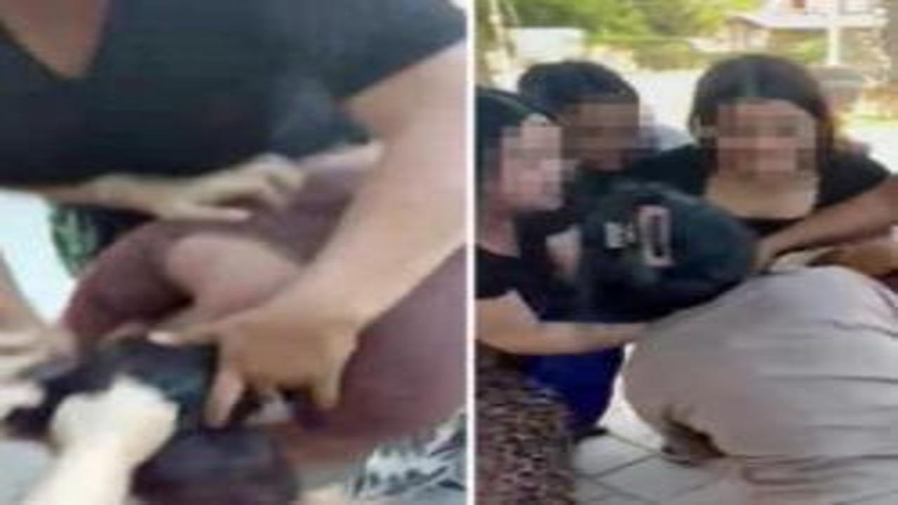 Çocuğunun gözü önünde dehşet: 5 kadın, 1 anneyi dö