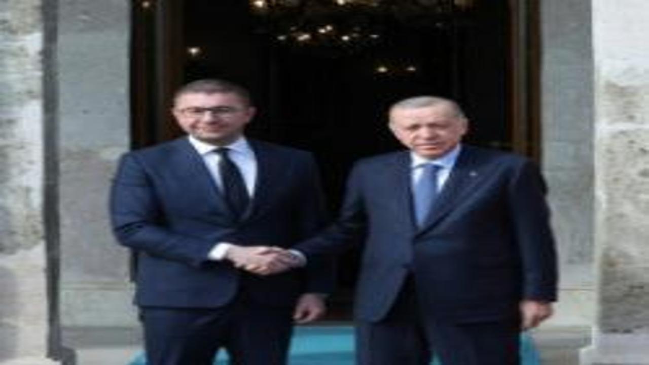 Erdoğan, Kuzey Makedonya Başbakanı Mickoski'yi kabul etti