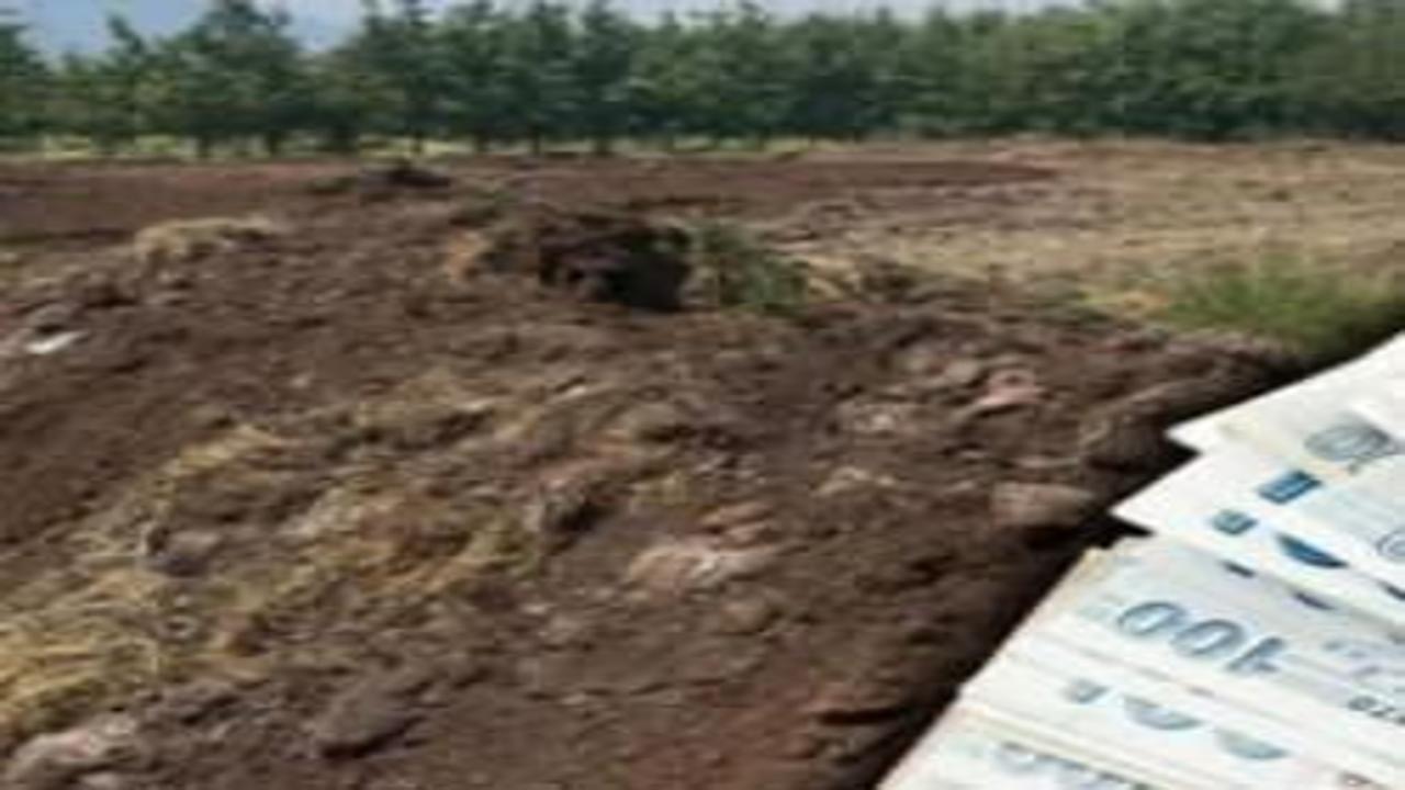 Günlük 5 bin liraya işçi bulamıyorlar! Çiftçiler zorlanıyor