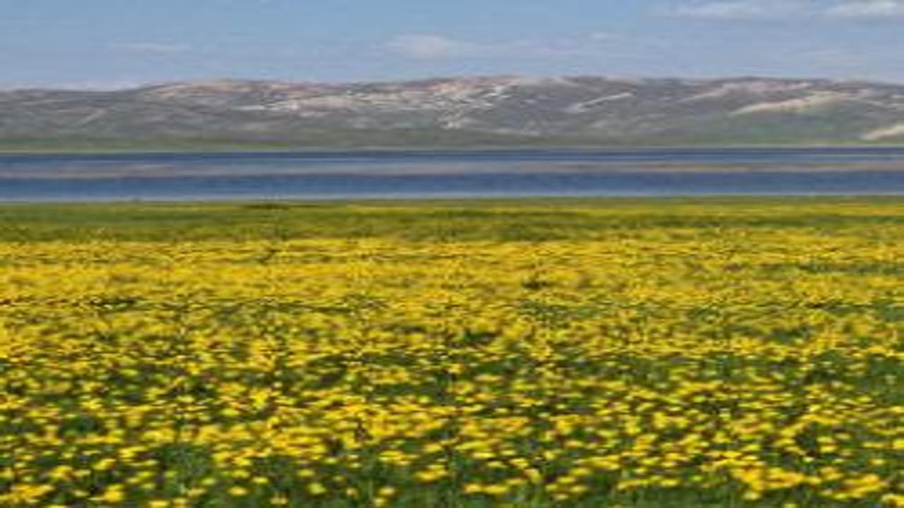 Van’da 2 bin 800 yıl önce yapılan gölde mest eden manzaralar