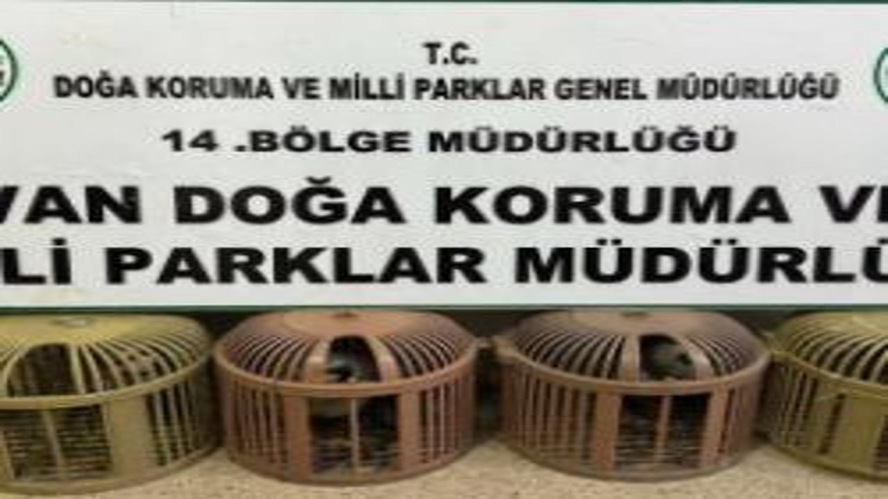 Van’da kaçak avcıya jandarma ve milli parklar engeli!