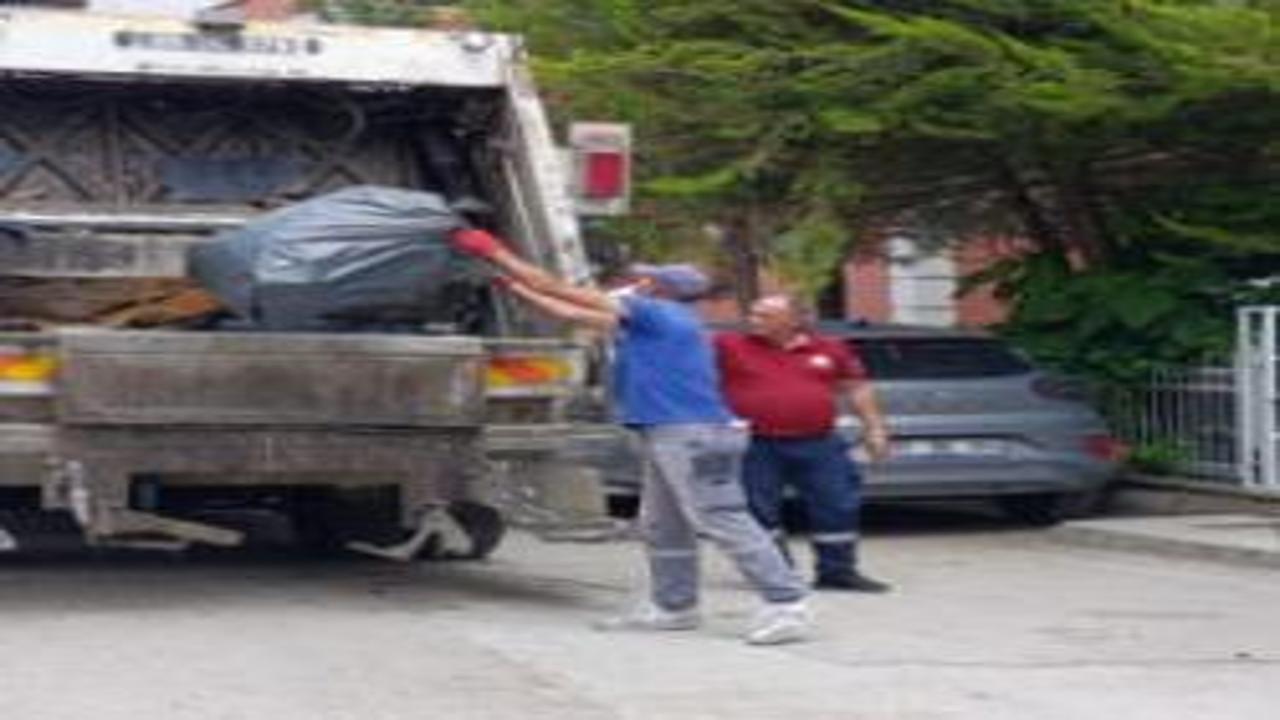 Sivas'ta fıkra gibi olay! Balık ağaca çıktı