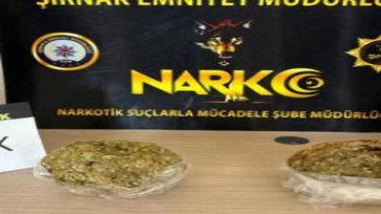 Şırnak’ta uyuşturucu sevkiyatına jandarma engeli: Narkotik köpeği maddeyi kaçırmadı!