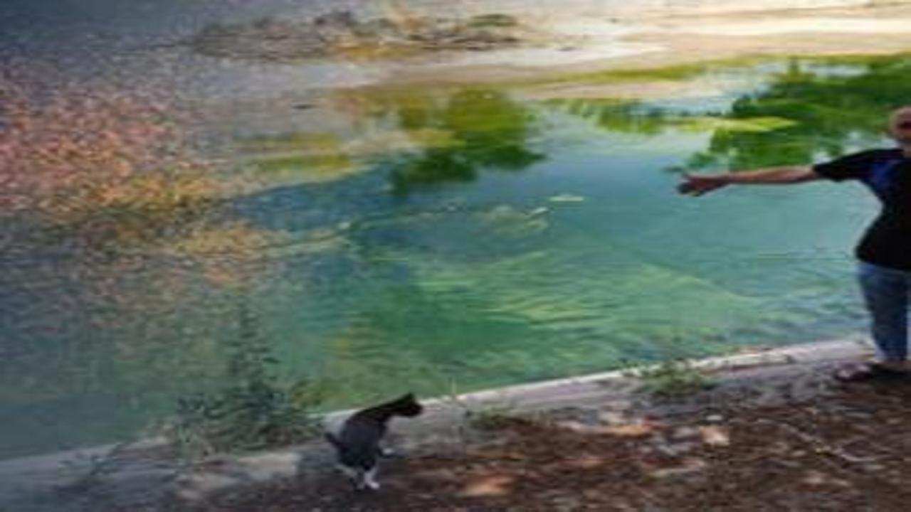 Kenti istila ettiler! İhmal var diyen vatandaş: Çocuklarımız yara içinde