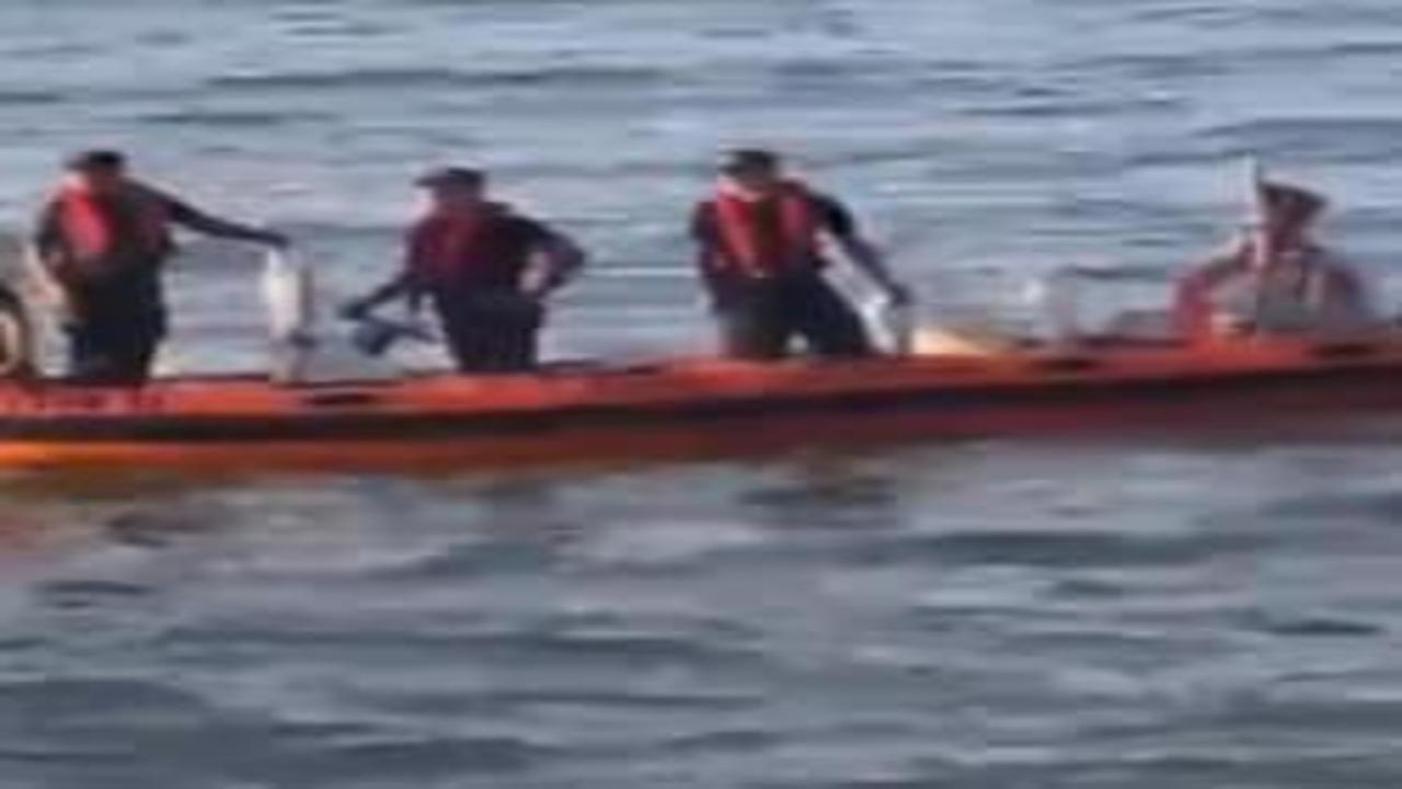 Uyarıları dinlemedi, denize girdi: Ordu'da 17 yaşındaki genç kayboldu