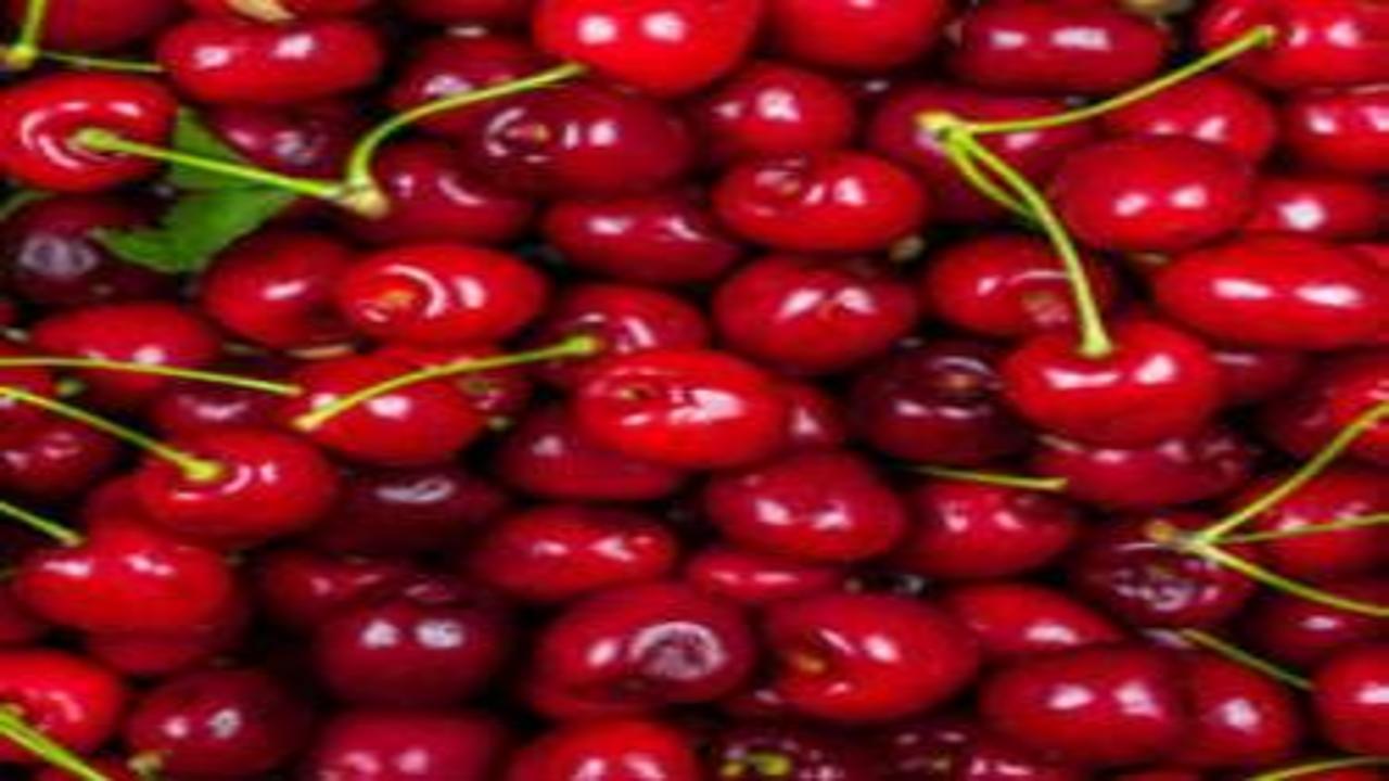 Ölüm nedenleri tam olarak bilinmiyor: En son bahçe kirazı yemişlerdi