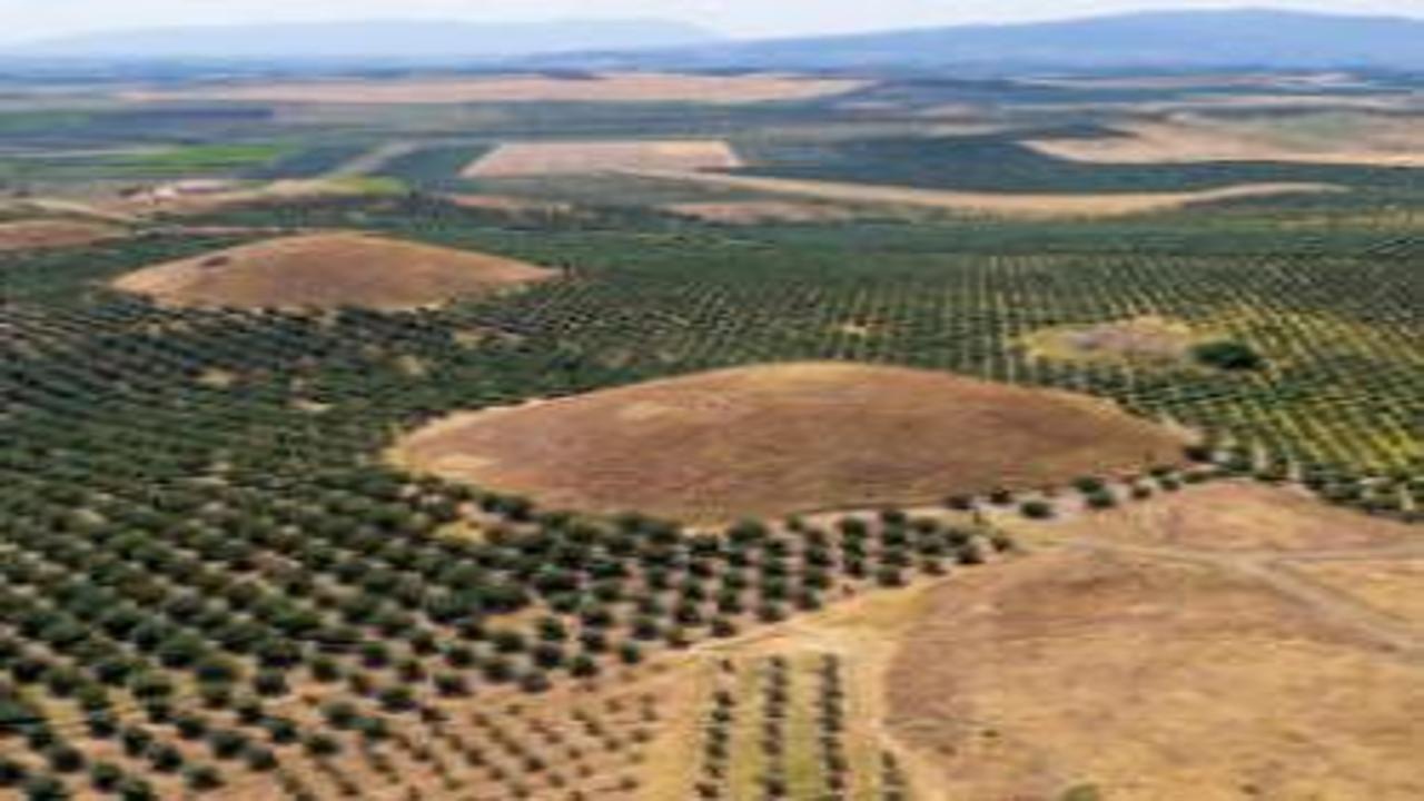 Anadolu’daki esrarengiz piramitler: Manisa’daki Bintepeler Tümülüsleri tarihe ışık tutuyor