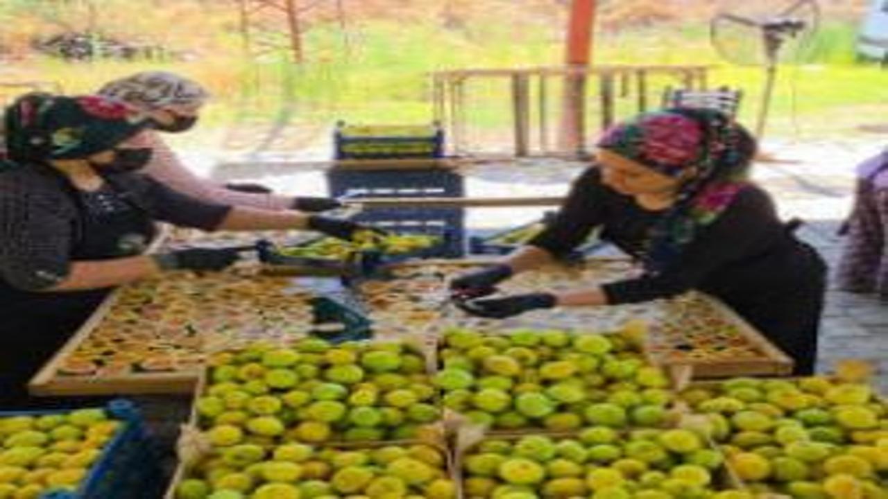 Cami önlerinde başladı şimdi tüm Türkiye'ye satıyor