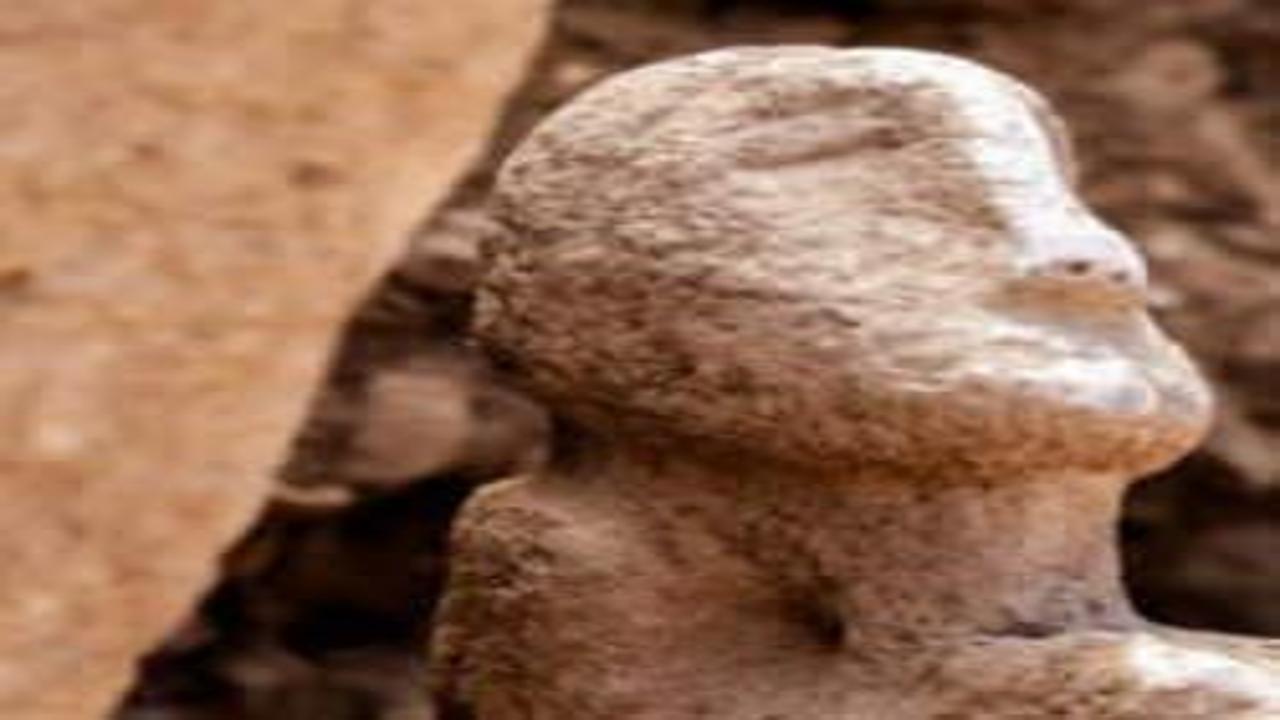 Daha önce benzerine rastlanmadı! Bilim dünyasında yankı uyandıracak keşif!